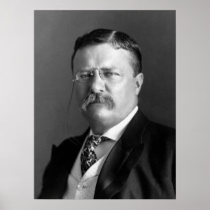 Präsident Theodore Roosevelt Black & White Poster