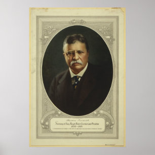 Präsident Theodore Roosevelt durch Poster