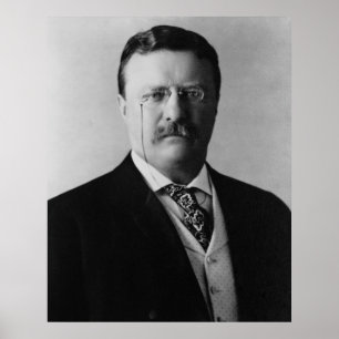 Präsident Theodore Roosevelt Portait Poster