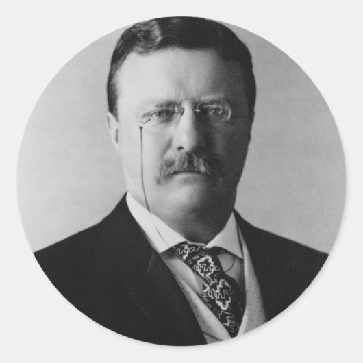 Präsident Theodore Roosevelt Portrait Runder Aufkleber (Vorderseite)