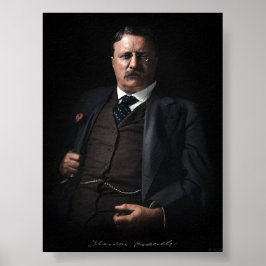 Präsident Theodore Roosevelt Poster