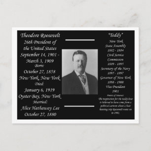 Präsident Theodore Roosevelt Postkarte