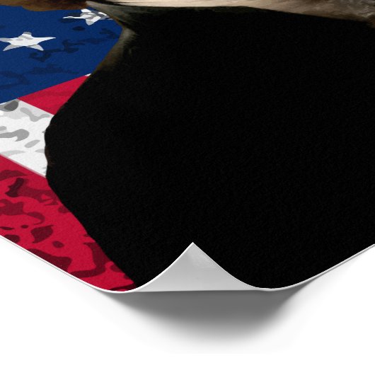 Präsident Thomas Jefferson und die amerikanische F Poster (Ecke)