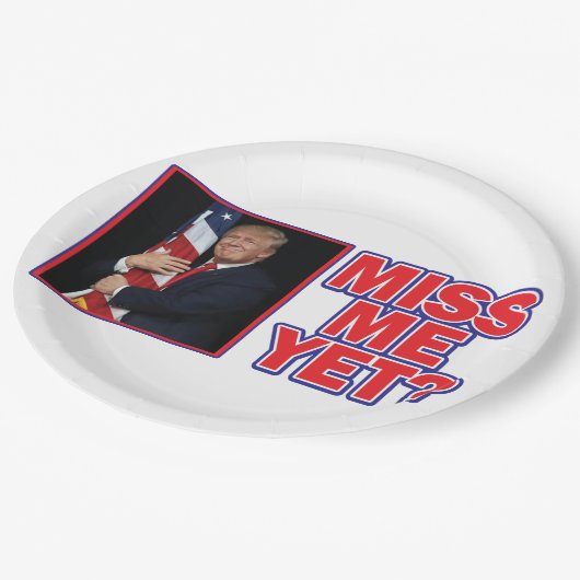 Präsident Trump Miss Me Pappteller (Schrägansicht)