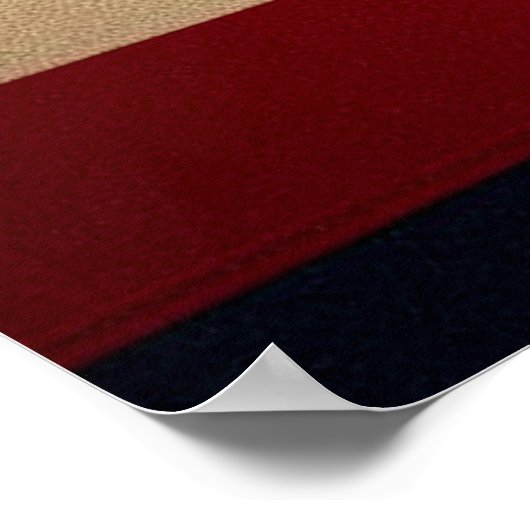 Präsidentschaftswahl HARRIS WALZ 2024 Poster (Ecke)