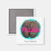 Praslin Seychelles Indischer Ozean Vintag Souvenir Magnet (Vorderseite/Rückseite)