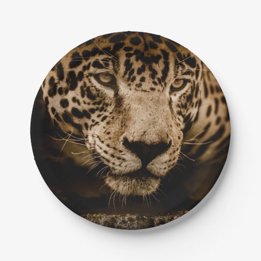 Prato de Papel Via Pantanal Onça Pappteller (Vorderseite)
