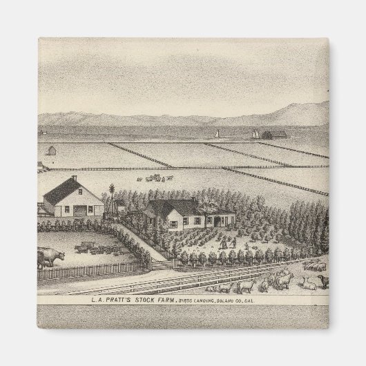 Pratt, Stewart Farmen Magnet (Vorne)