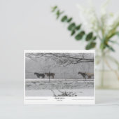 Prattville Alabama Postkarte (Stehend Vorderseite)