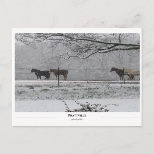 Prattville Alabama Postkarte (Vorderseite)