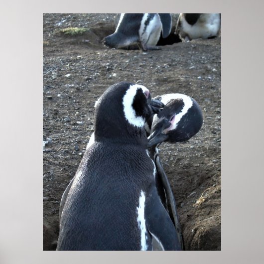 Präventivmaßnahmen für Partner Poster (Vorne)