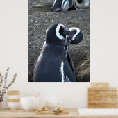 Präventivmaßnahmen für Partner Poster (Küche)