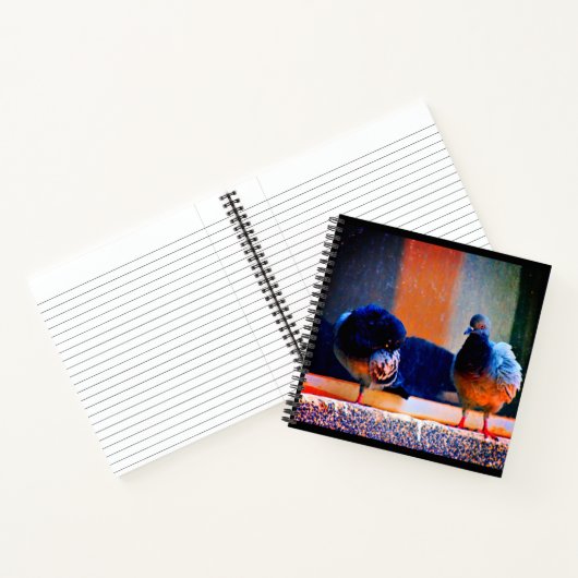 Präventivtauben Notizblock (Innenseite)