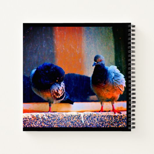 Präventivtauben Notizblock (Rückseite)