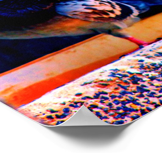 Präventivtauben Poster (Ecke)