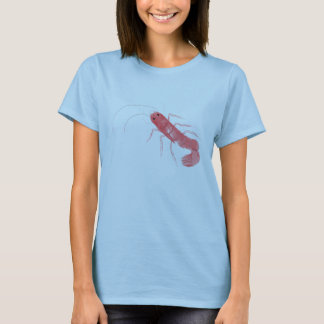 Prawn Ladys T - Shirt