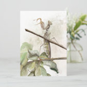 Pray Mantis Aqucolor Einladung (Stehend Vorderseite)