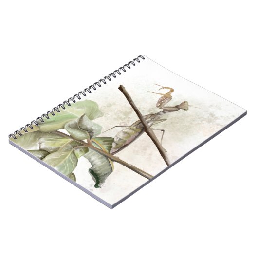Pray Mantis watercolor Notizblock (Linke Seite)