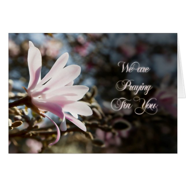 Prayer card with magnolia (Vorderseite (Horizontal))