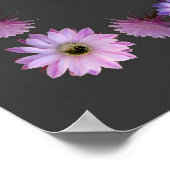 PRAYER OF ST FRANCIS POSTER (Ecke)