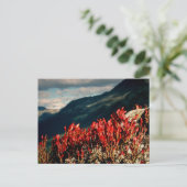 PRAYER POSTKARTE (Stehend Vorderseite)