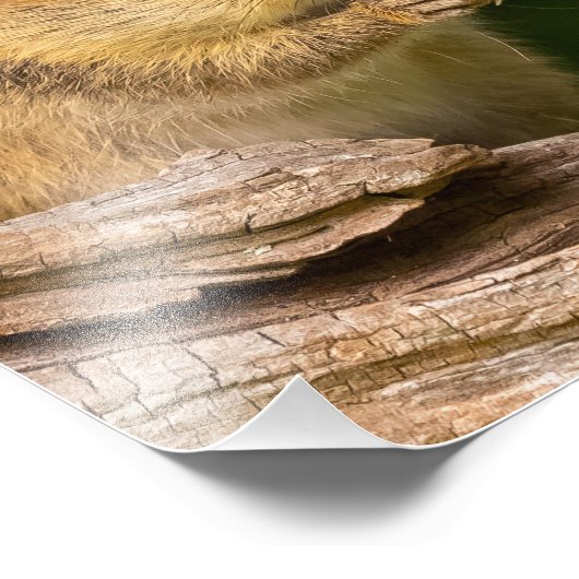 Prayerful Chipmunk Fotodruck (Ecke)