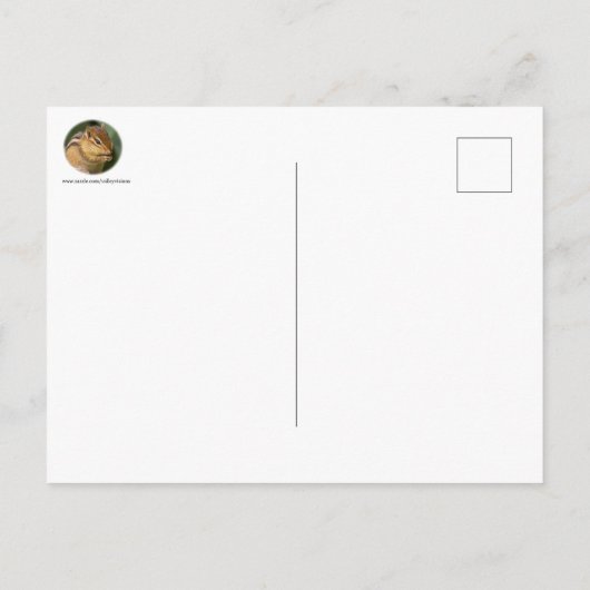 Prayerful Chipmunk Postkarte (Rückseite)