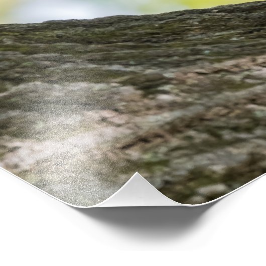 Praying Chipmunk Fotodruck (Ecke)