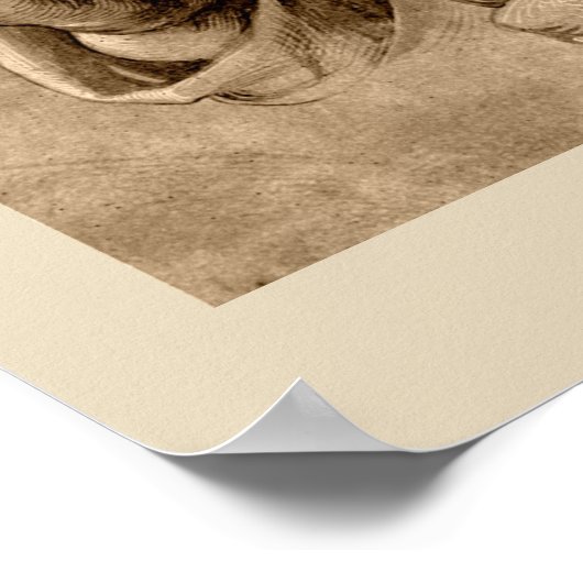 Praying Hands Poster (Ecke)