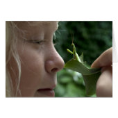 Praying Mantid (Vorderseite (Horizontal))