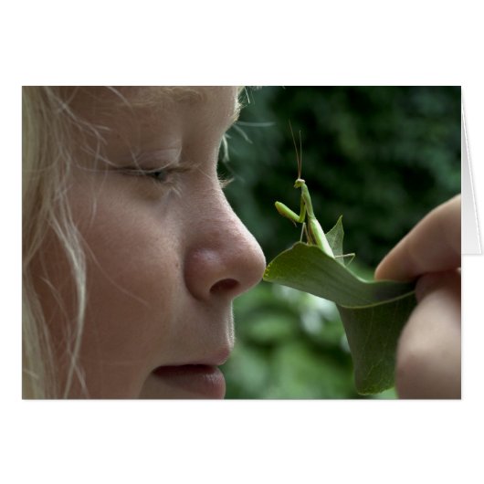 Praying Mantid (Vorderseite (Horizontal))