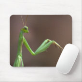 Praying Mantid Mousepad (Mit Mouse)