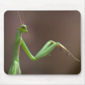 Praying Mantid Mousepad (Vorne)