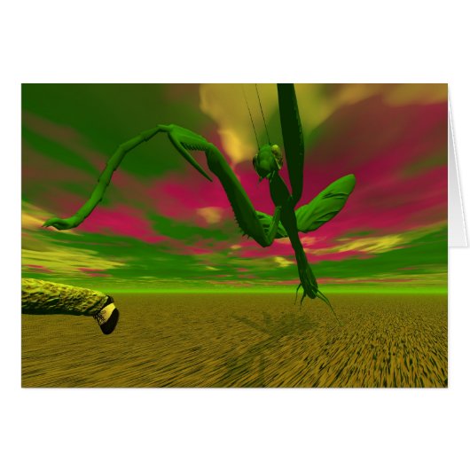 Praying mantis (Vorderseite (Horizontal))