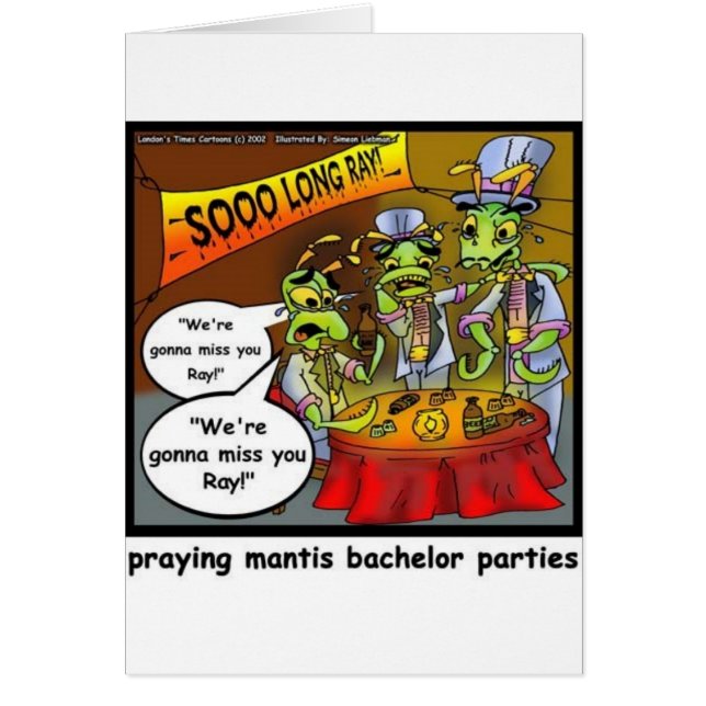 Praying Mantis Batchelor Party Funny Gifts & Tees (Vorne)