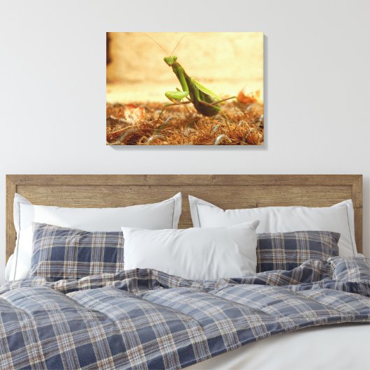 Praying Mantis Canvas Print Leinwanddruck (Insitu (Schlafzimmer))