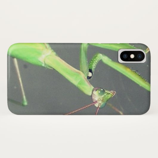 Praying Mantis Case-Mate iPhone Hülle (Rückseite (Horizontal))