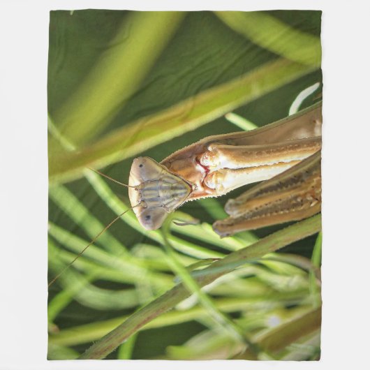 Praying Mantis Fleecedecke (Vorderseite)