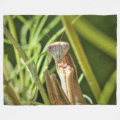 Praying Mantis Fleecedecke (Vorderseite (Horizontal))