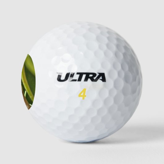 Praying Mantis Golfball (Logo)