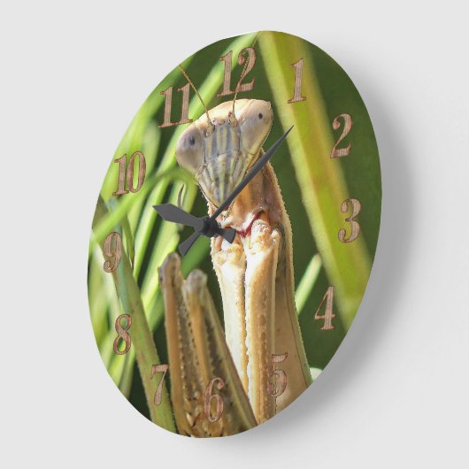 Praying Mantis Große Wanduhr (Winkel)