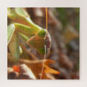 Praying Mantis Insect Macro Nature Foto Puzzle (Horizontal)