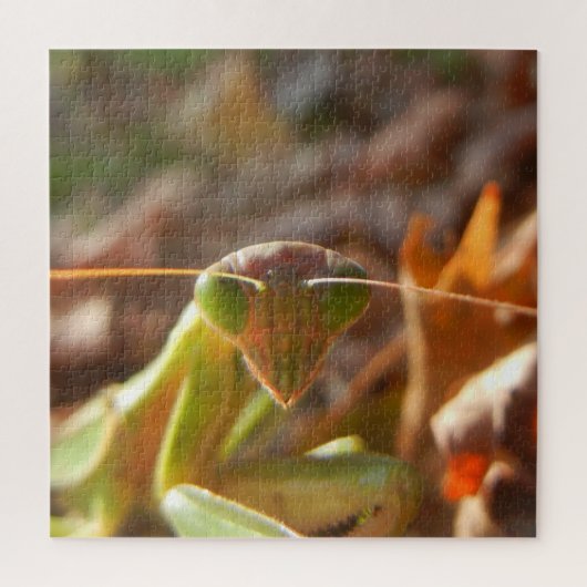 Praying Mantis Insect Macro Nature Foto Puzzle (Vertikal)