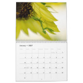 Praying Mantis Insects Calendar Kalender (Jan 2027)