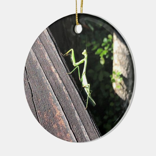 Praying Mantis Keramik Ornament (Links)