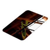 Praying Mantis Magnet (Linke Seite)