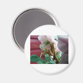 Praying Mantis Magnet (Vorderseite/Rückseite)