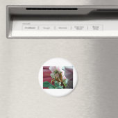 Praying Mantis Magnet (In Situ (Geschirrspüler))