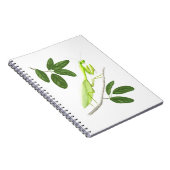 Praying Mantis-Notebook Notizblock (Rechte Seite)