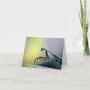 Praying Mantis Notecard Karte